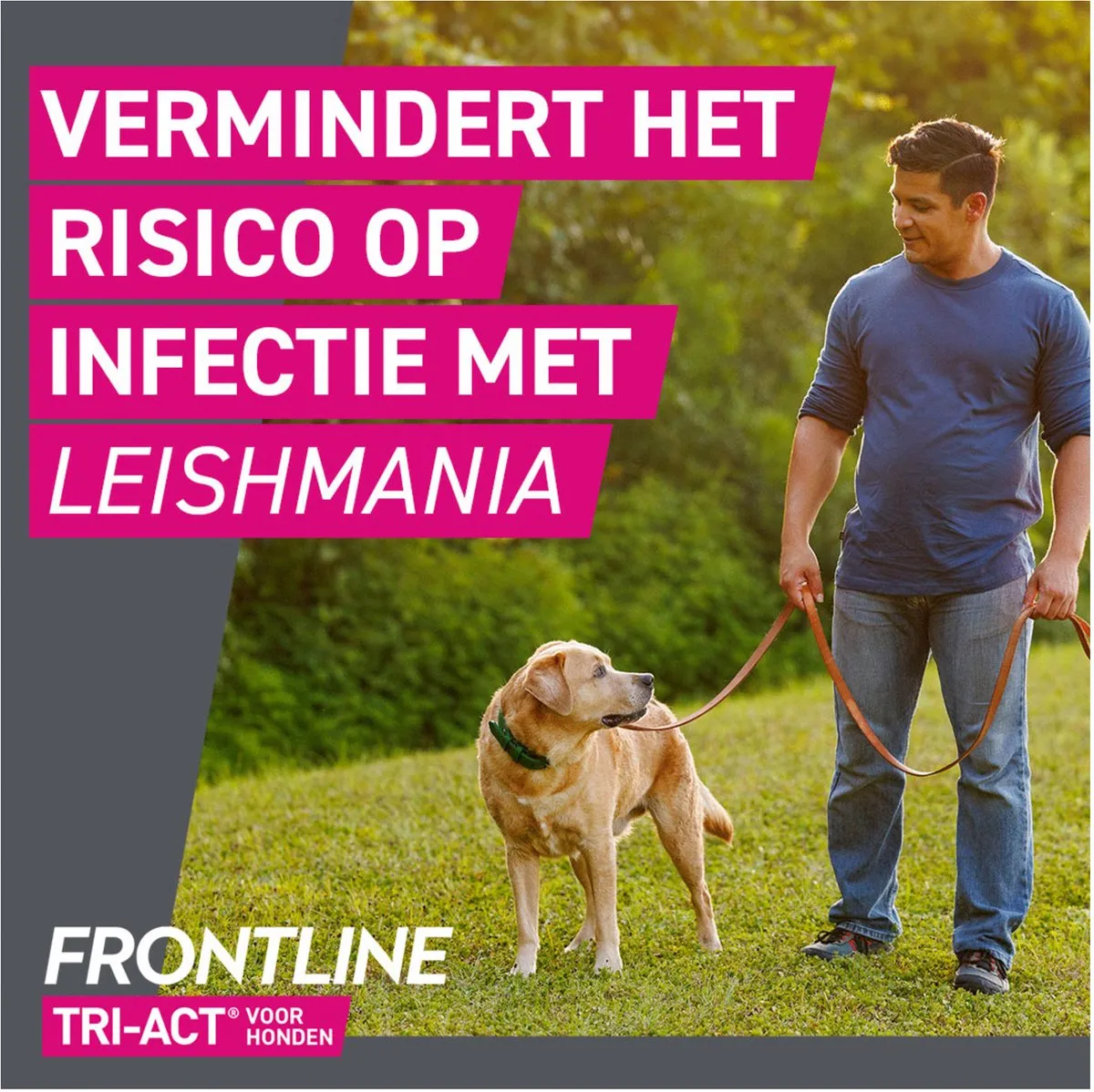 Frontline Tri-Act Anti-Vlooien & Teken Druppels L - 3 Pipetten