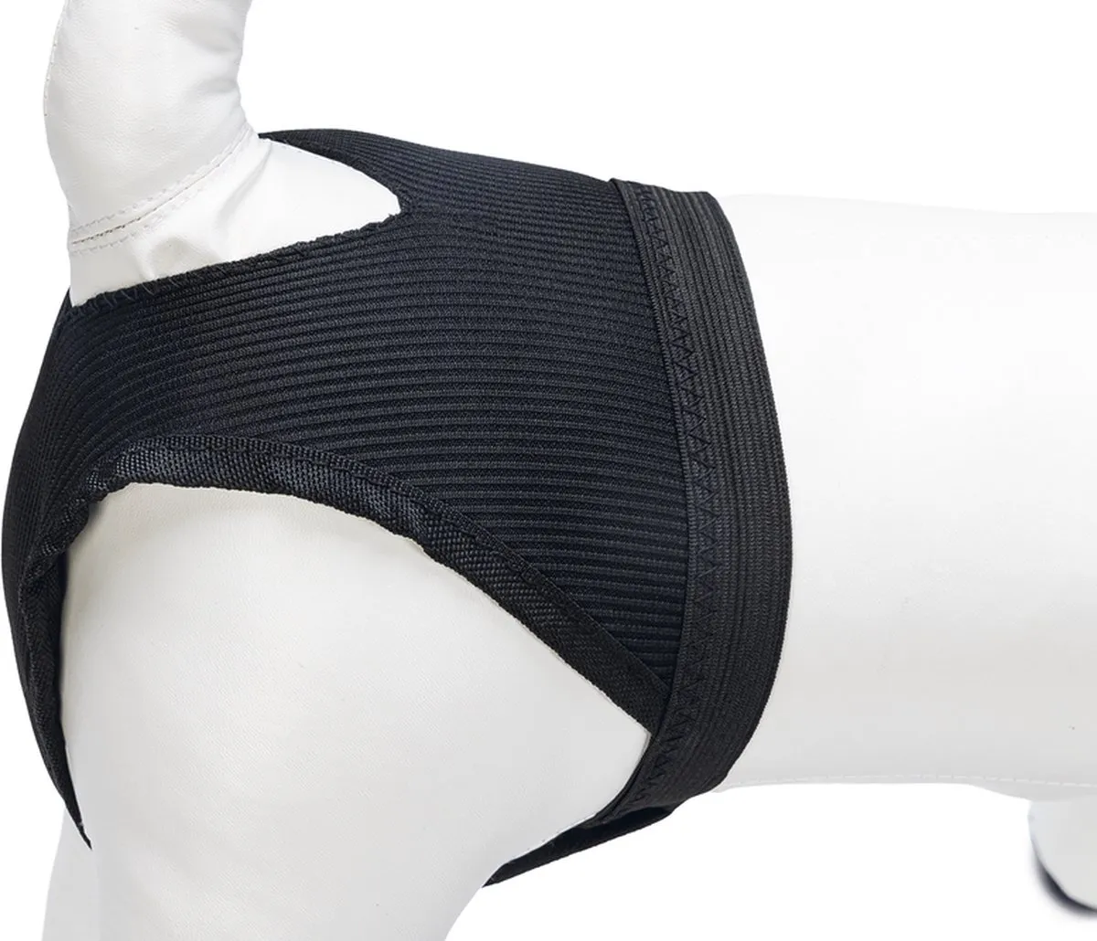Beeztees Loopsheidbroekje XS - 22-28 cm - Zwart
