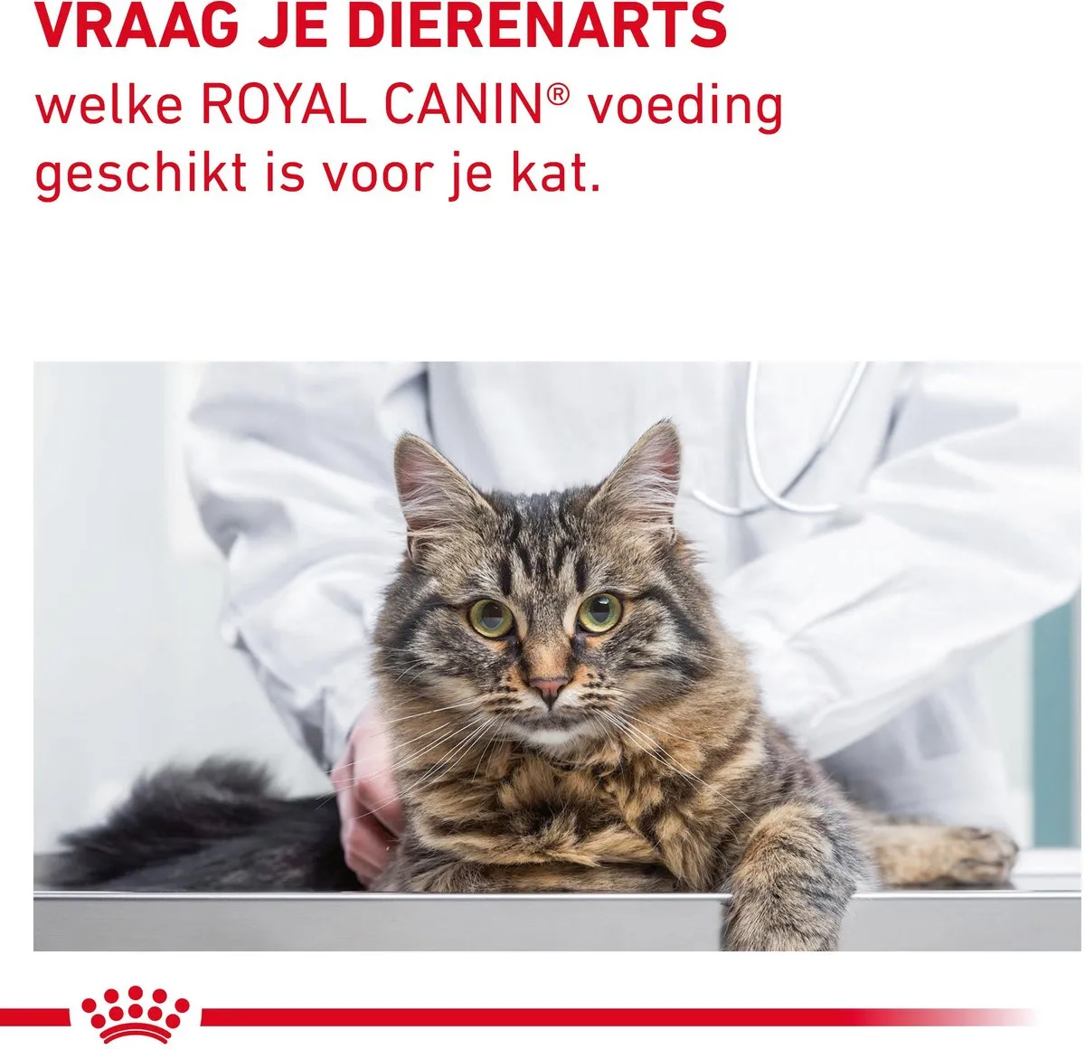 Royal Canin Fibre Response Kattenvoer 4kg - afbeelding 6 van 6