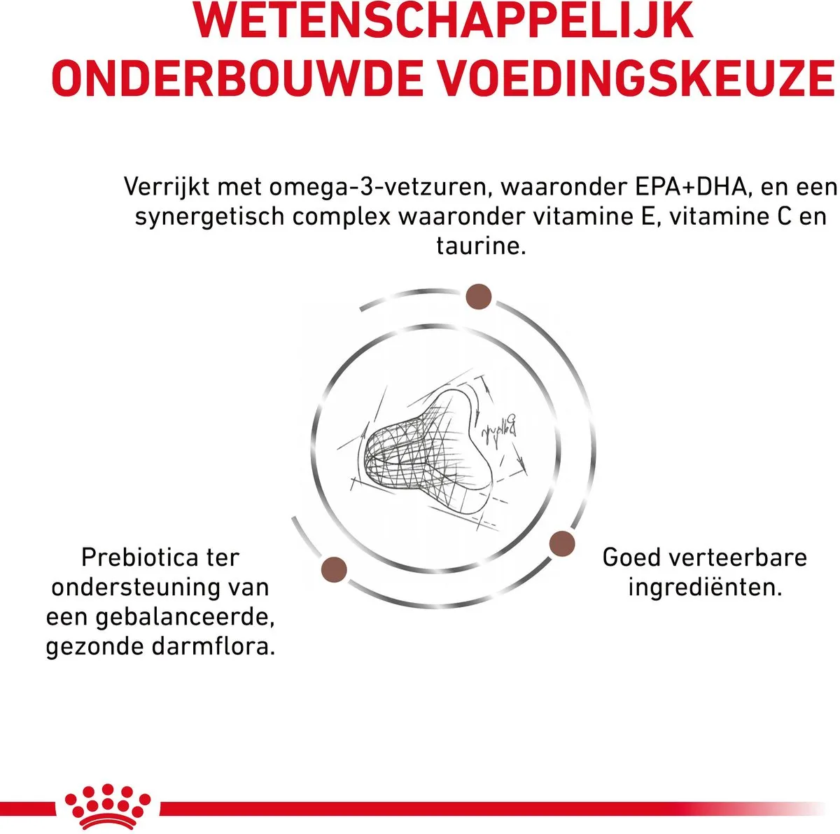 Royal Canin Fibre Response - Kattenvoer - 4 kg