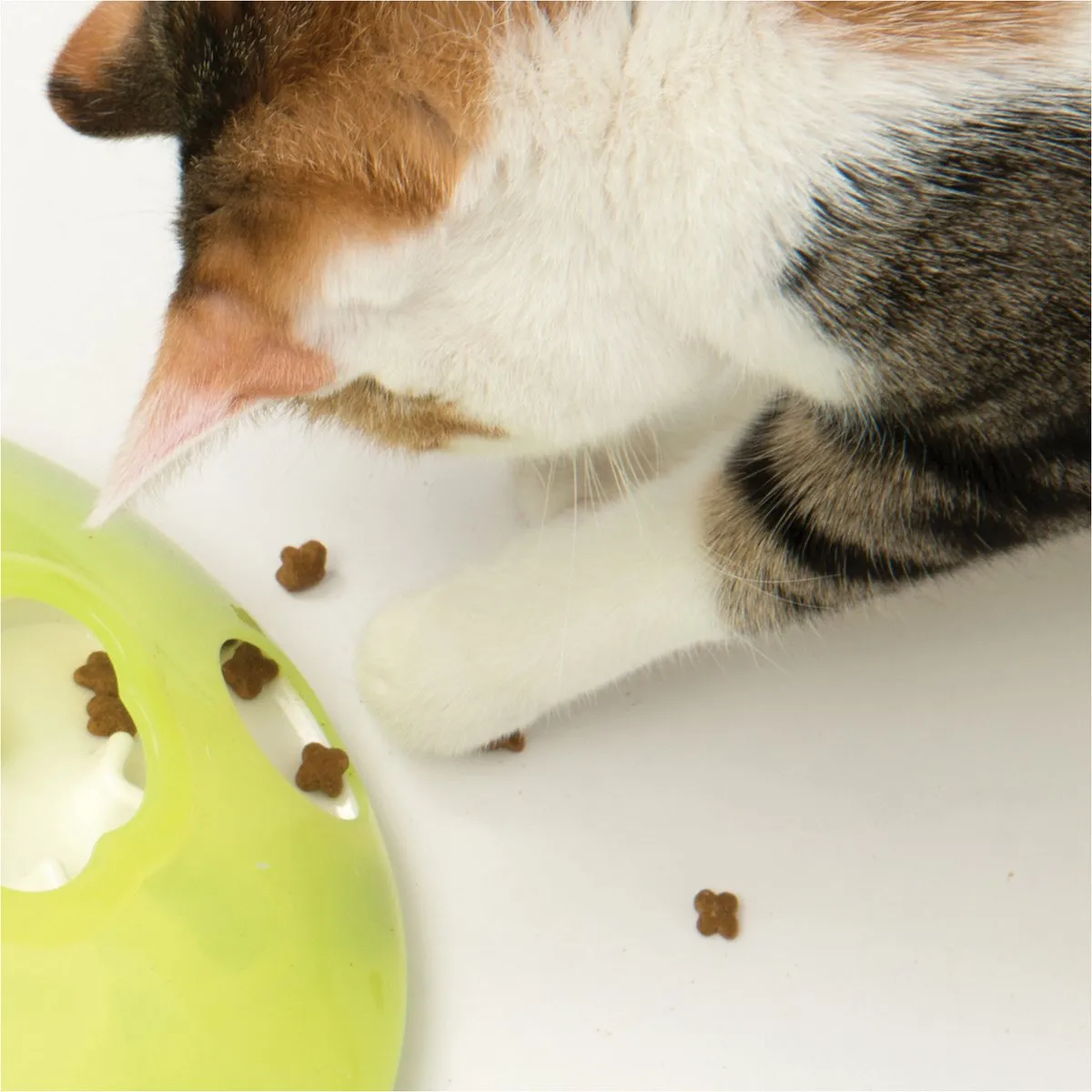 Catit Play Treat Spinner Kattenspeelgoed - 19,5x19,5x5,8cm - Groen