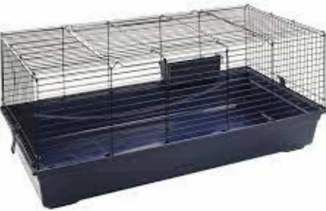 Knaagdieren Kooi Jip