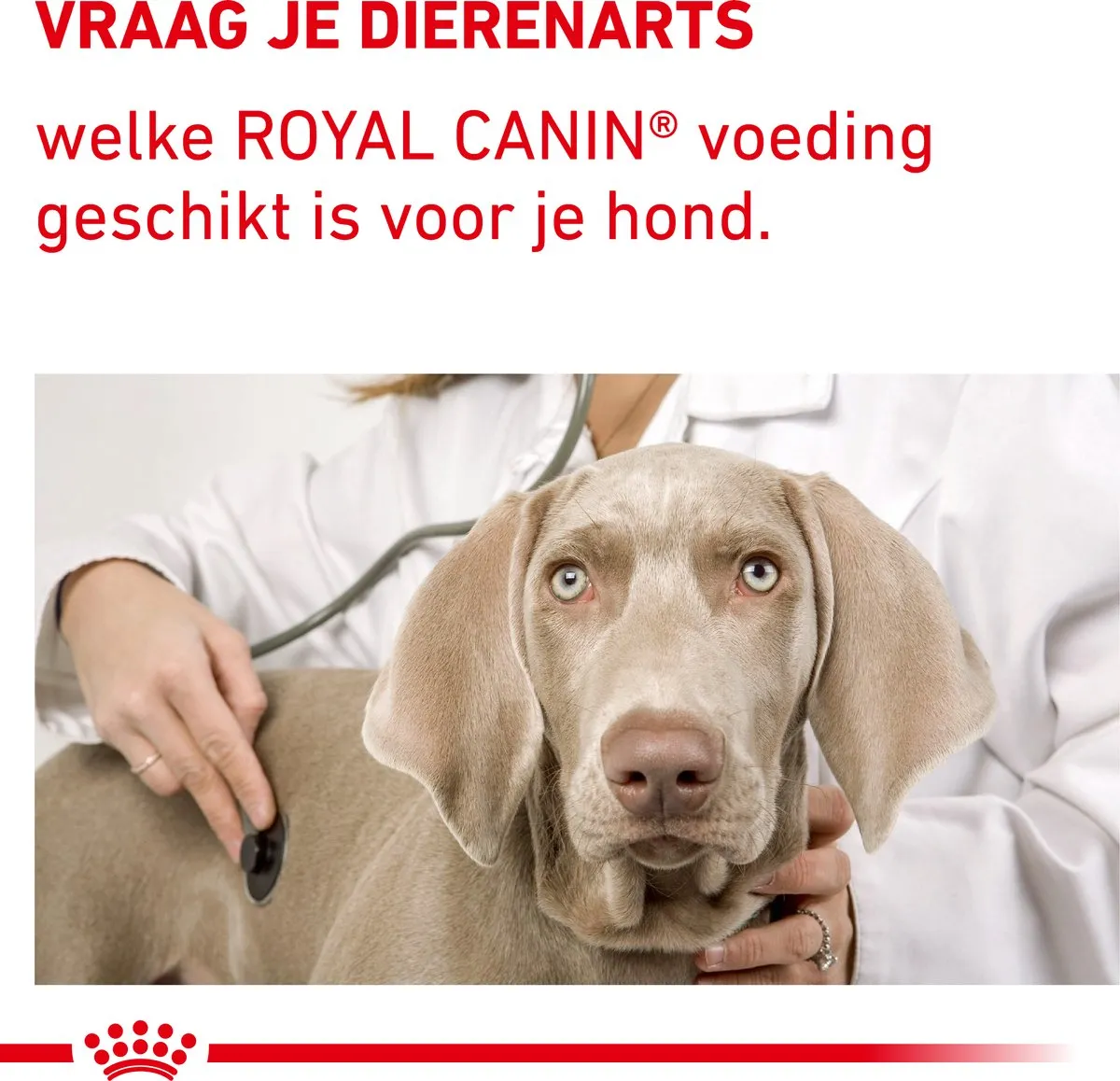 Royal Canin Veterinary Diet Small Dog Adult - Hondenvoer - 2 kg