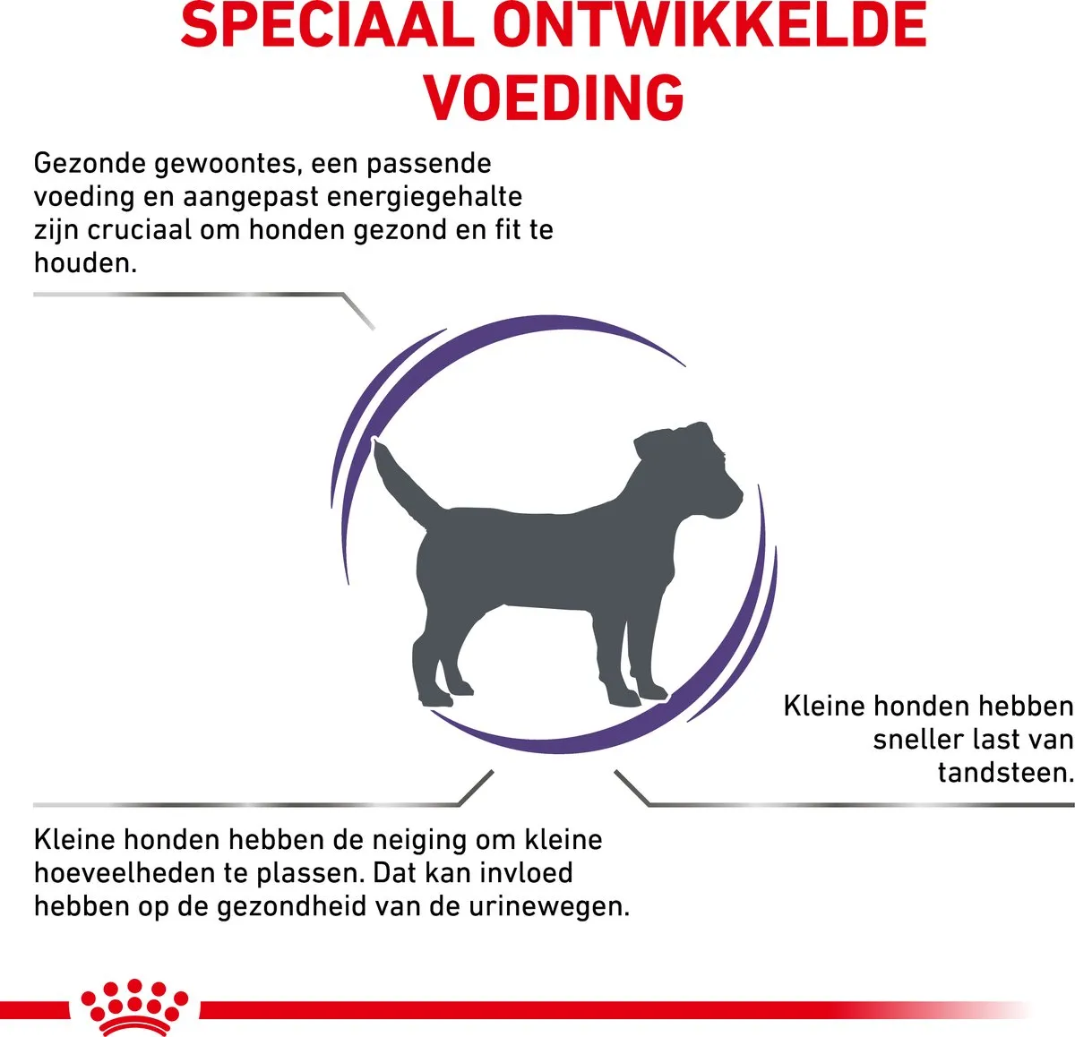 Royal Canin Veterinary Diet Small Dog Adult - Hondenvoer - 2 kg