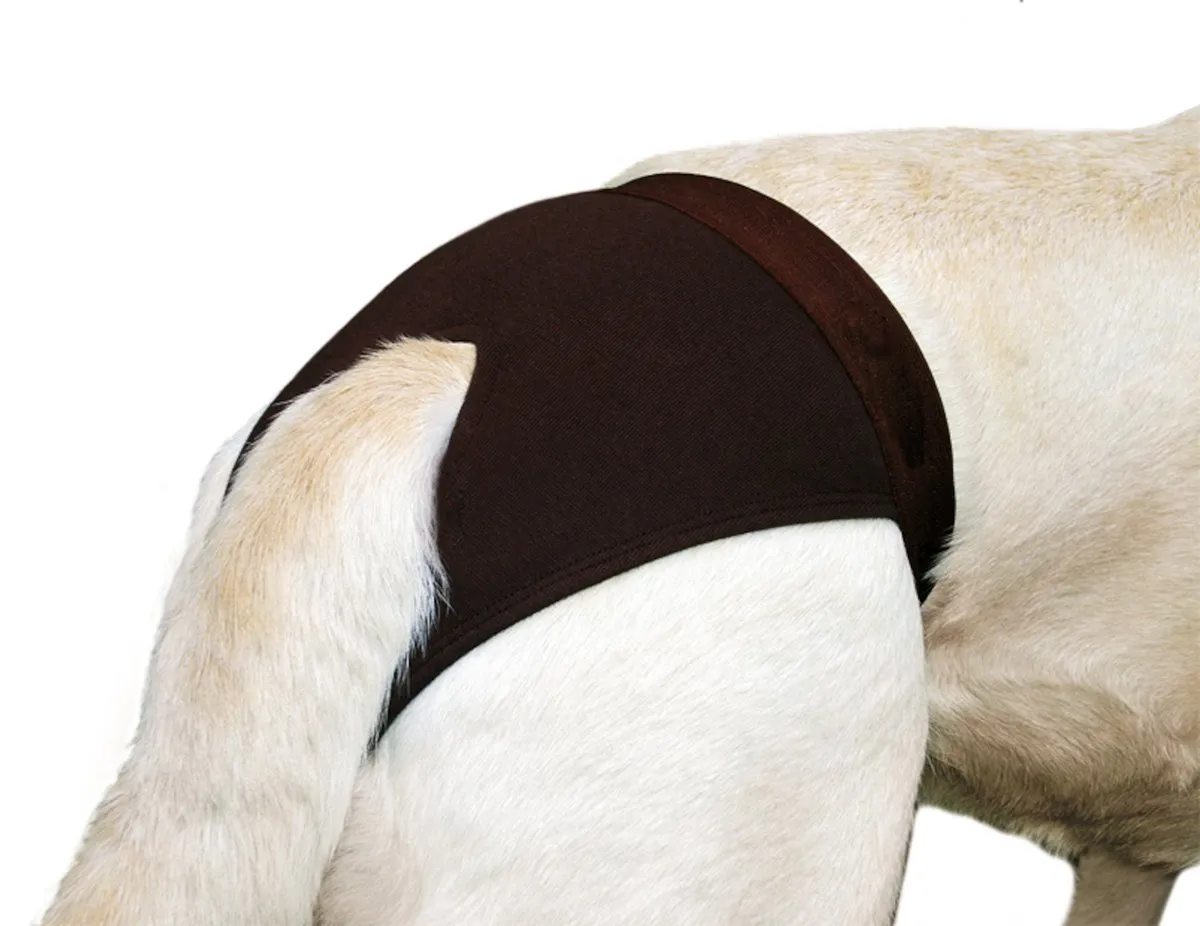Flamingo Luvly Inlegkruisje Hond L - 24 Stuks - afbeelding 3 van 6