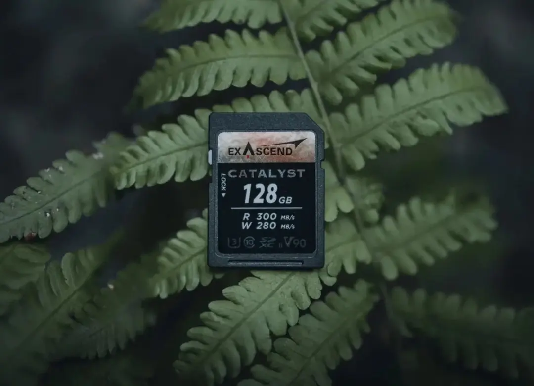 Exascend Catalyst UHS-II SD-kaart 128GB V90