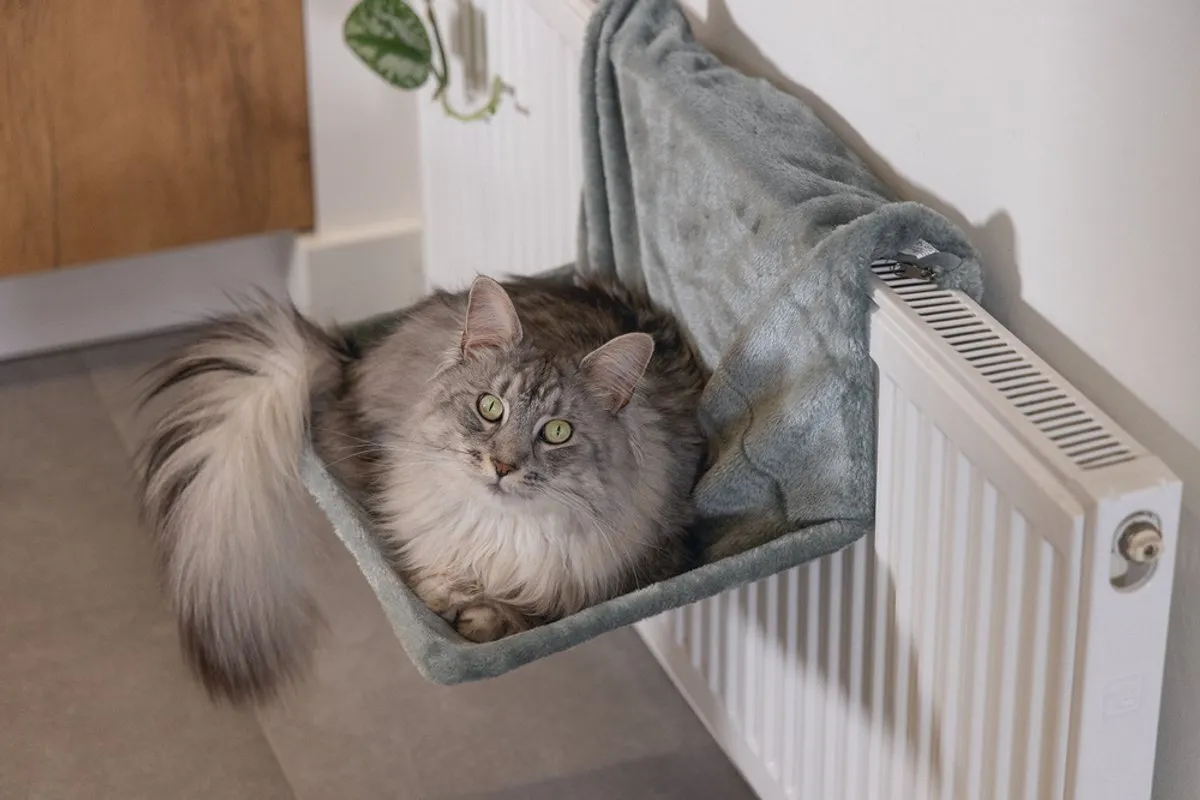 Beeztees Sleepy Kattenhangmat - 46x31x24cm - Groen