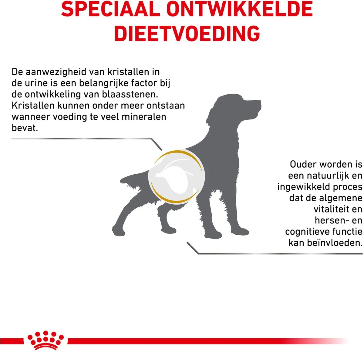 Royal Canin Veterinary Diet Urinary S/O Ageing 7+ Hondendieetvoer 8kg