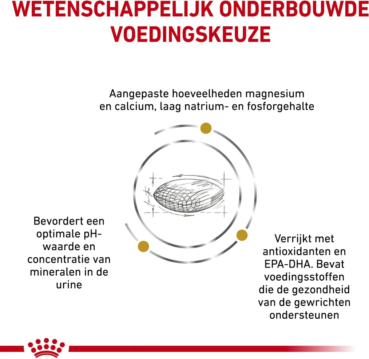 Royal Canin Veterinary Diet Urinary S/O Ageing 7+ Hondendieetvoer 8kg