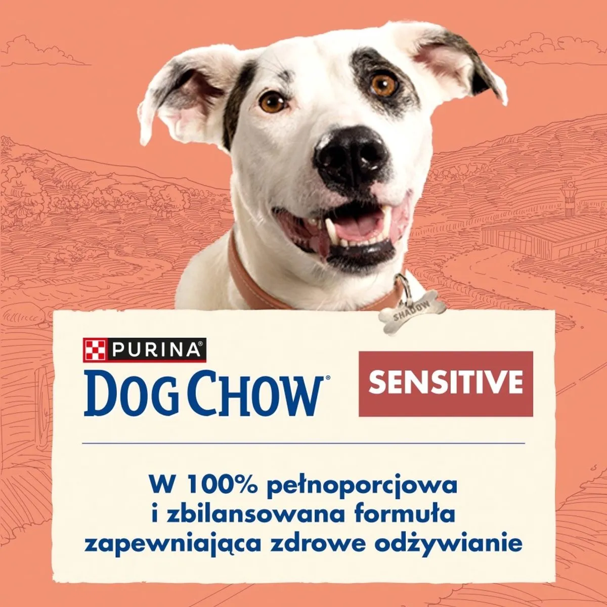 Purina Dog Chow Sensitive - Droge hondenvoeding - Zalm - Voor gevoelige magen - Gezonde huid & vacht - Voor volwassen honden