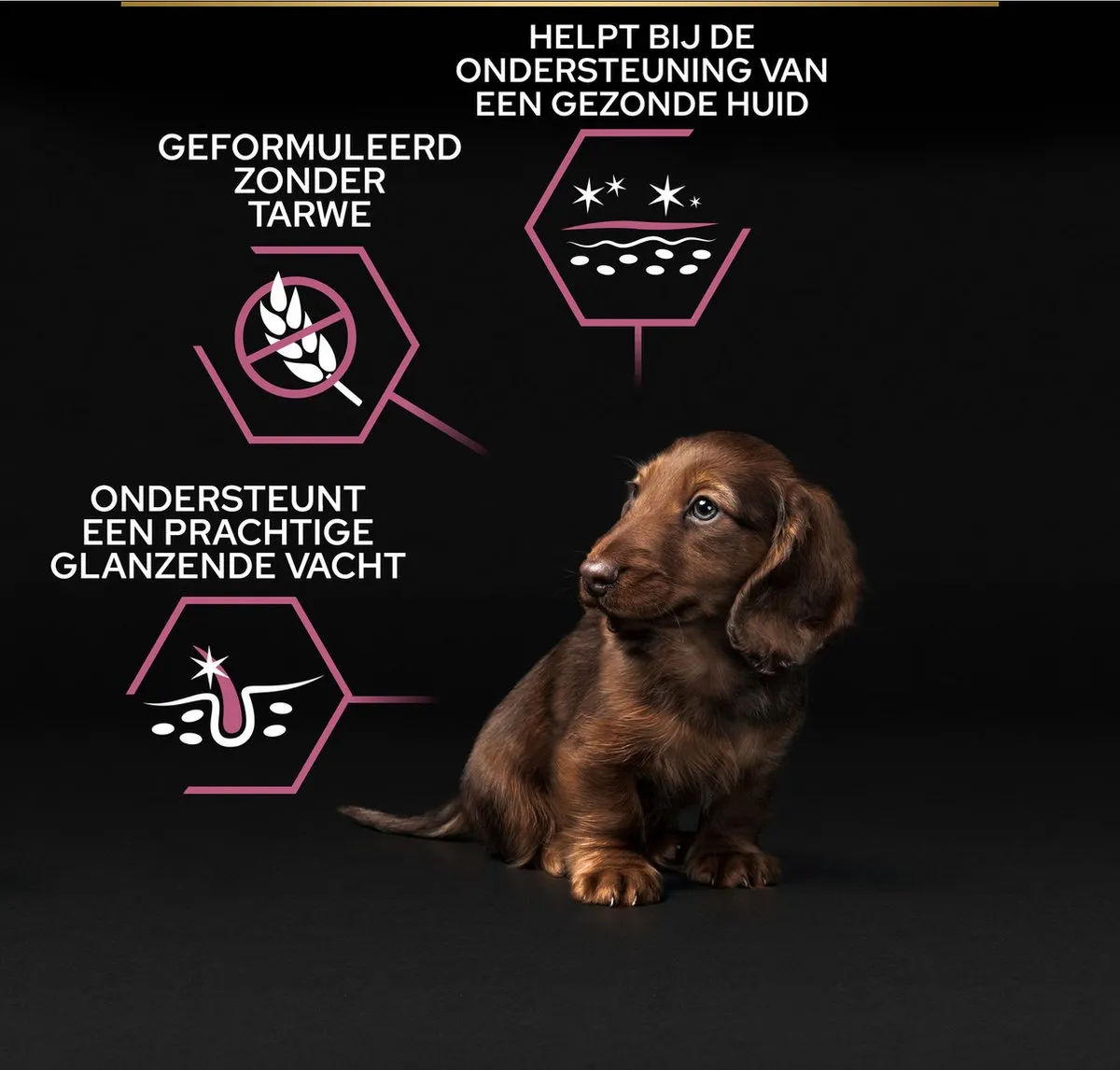 Pro Plan Dog Puppy Small & Mini Breed Sensitive Skin - Zalm 3kg