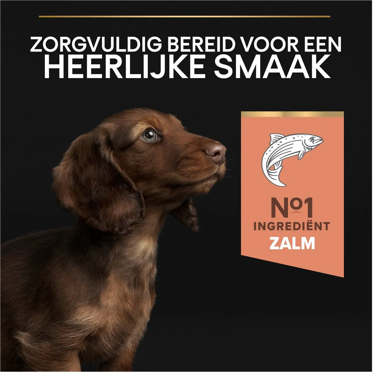 Pro Plan Dog Puppy Small & Mini Breed Sensitive Skin - Zalm 3kg