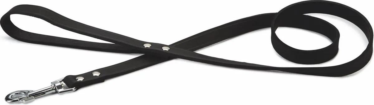 Beeztees Hondenriem Zwart 130x2cm