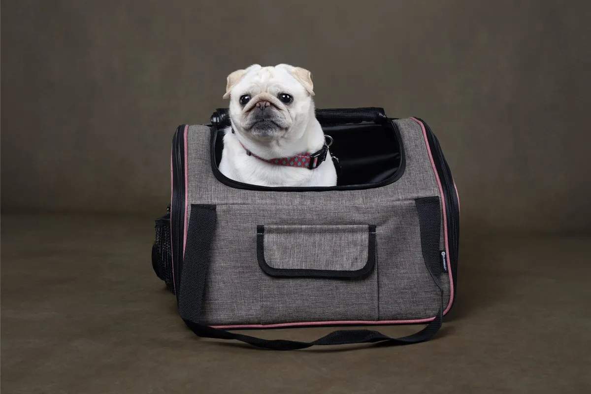 Flamingo Autostoel Puppy Xenophon - 44x37,5cm - Grijs