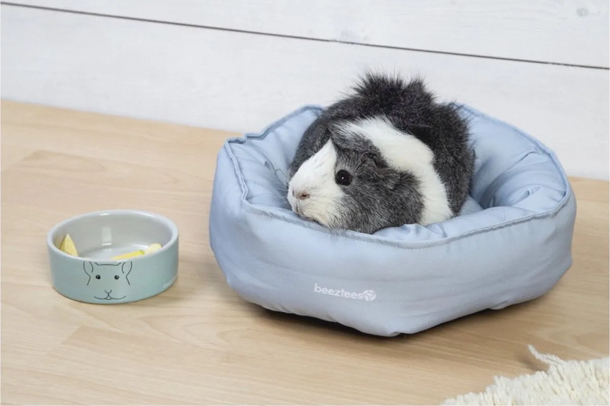 Beeztees Knaagdieren Ligbed Kuggy Mint - 30cm