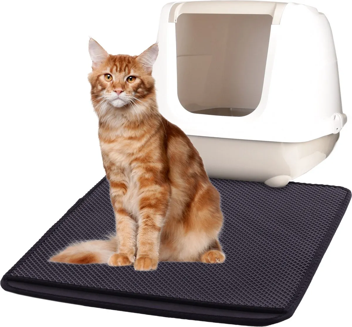 Flamingo Matz Kattenbakmat - Zwart 70x60cm