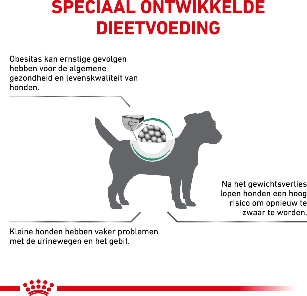Royal Canin Veterinary Diet Satiety Weight Management Small Dog - Hondenvoer - 3 kg