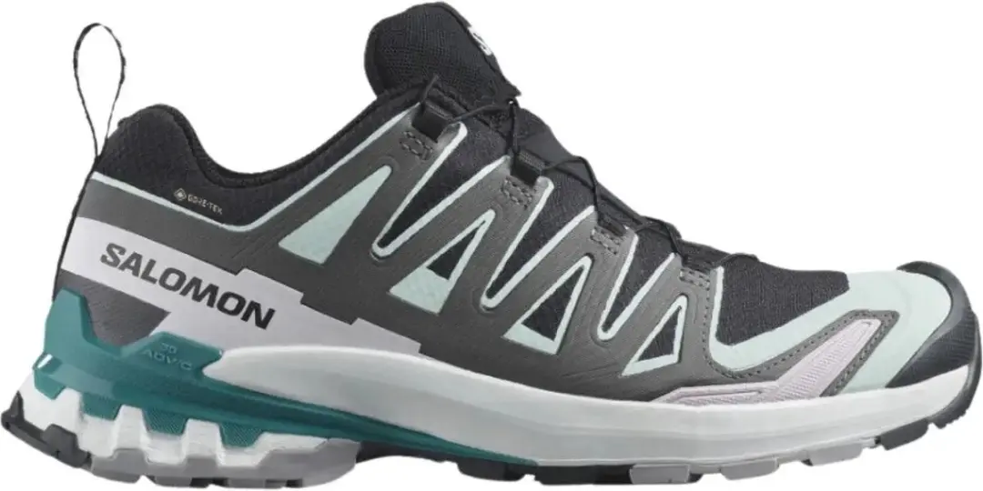 Salomon XA Pro 3D V9 GTX Wandelsneakers Dames Zwart dessin 37