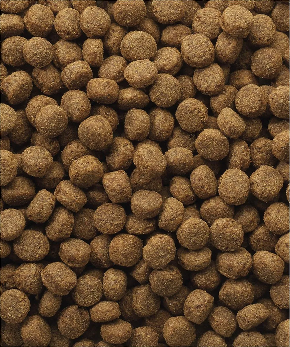 Versele-Laga Classic Puppy 10kg