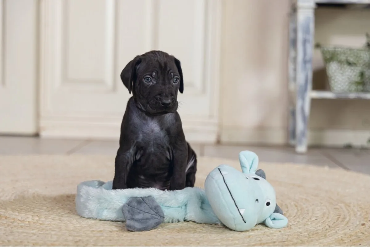 Beeztees Puppy Flatino Draak Yi Hondenspeelgoed - Groen