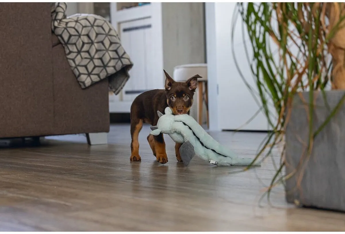 Beeztees Puppy Flatino Draak Yi Hondenspeelgoed - Groen