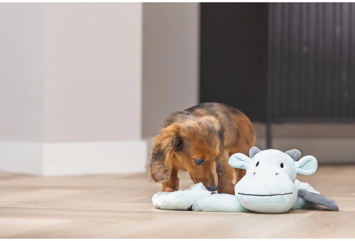 Beeztees Puppy Flatino Draak Yi Hondenspeelgoed - Groen