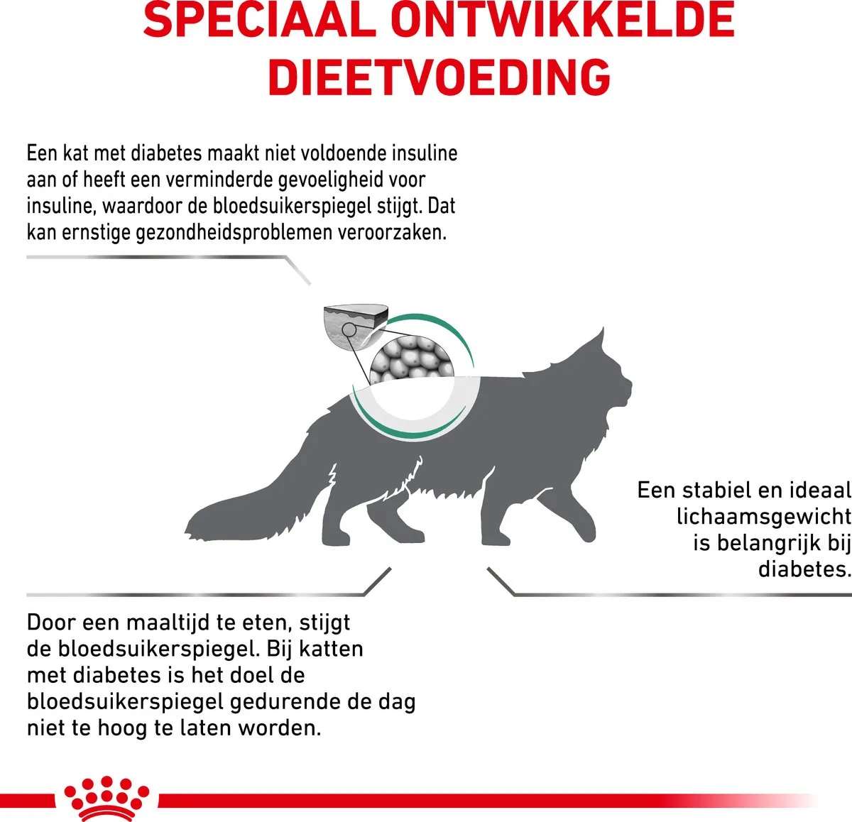Royal Canin Veterinary Diet Diabetic Kattenvoer 3,5kg