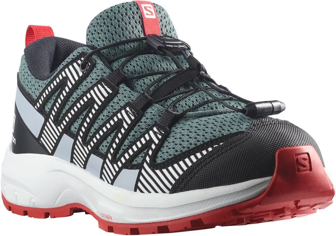Salomon Xa Pro V8 Wandelschoenen Grijs EU 37