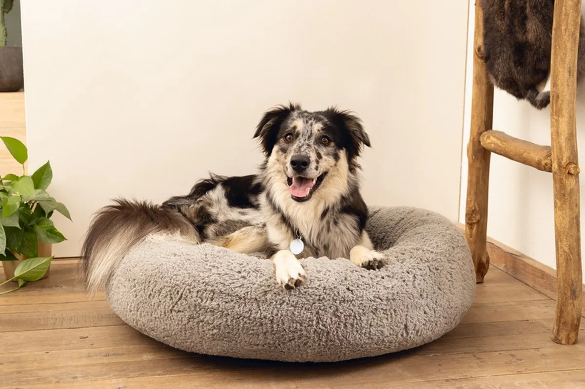 Beeztees Jaxx Orthopedische Hondenmand 70x70x25cm - Grijs