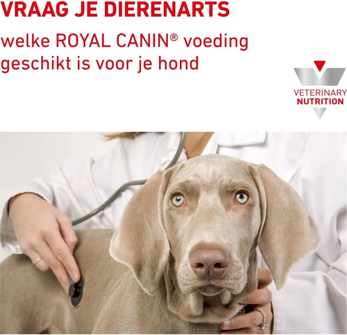 Royal Canin Sensitivity Control Dieetvoeding Hond 12x420g - Kip/Rijst