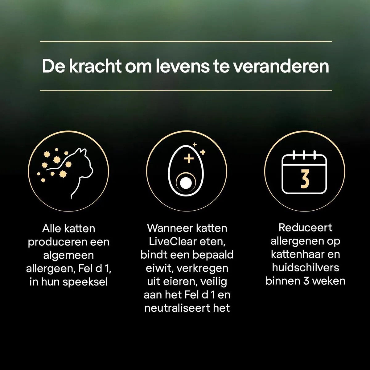 Pro Plan Adult LiveClear Kattenvoer Kalkoen 1,4kg - afbeelding 6 van 6