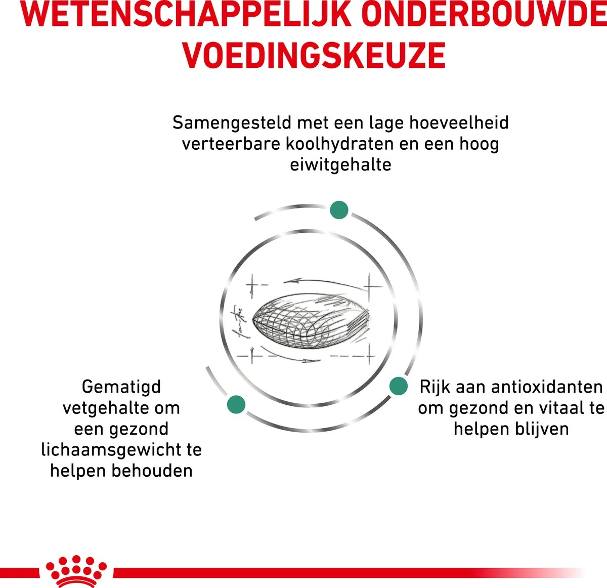 Royal Canin Veterinary Diet Diabetic Hondenvoer 7kg