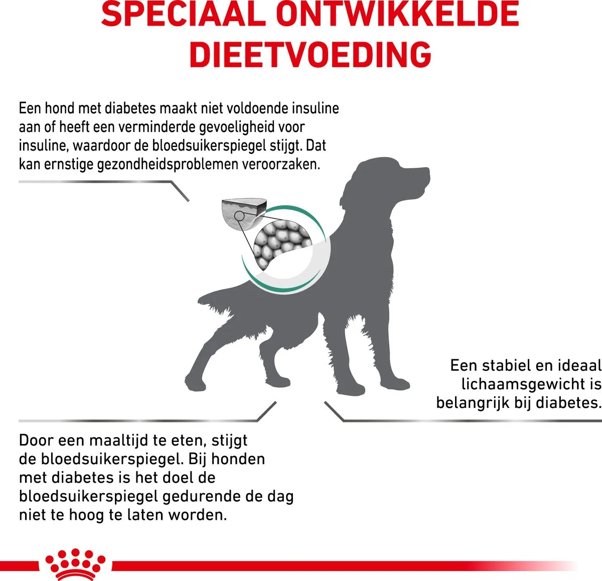 Royal Canin Veterinary Diet Diabetic Hondenvoer 7kg - afbeelding 6 van 6