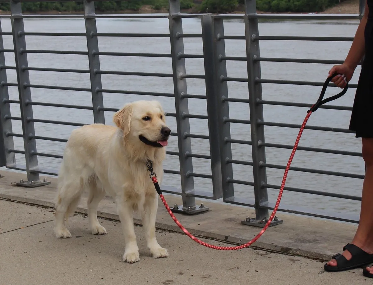 KONG Rope Leash - One Size - Zwart