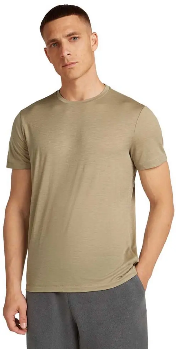 Icebreaker Merino 150 Tech Lite T-shirt Met Korte Mouwen Bruin L Man