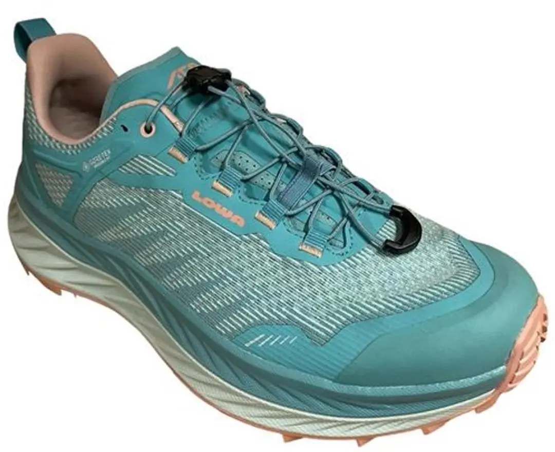 Lowa Fortux GTX Wandelschoenen