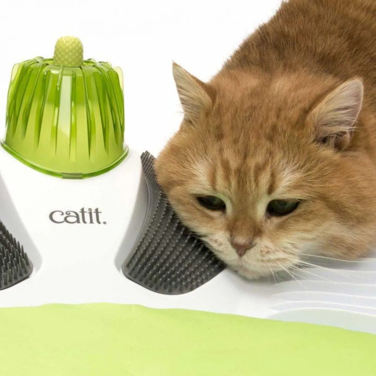 Catit Senses 2.0 Wellness Center - 47x47cm - Groen - afbeelding 6 van 6