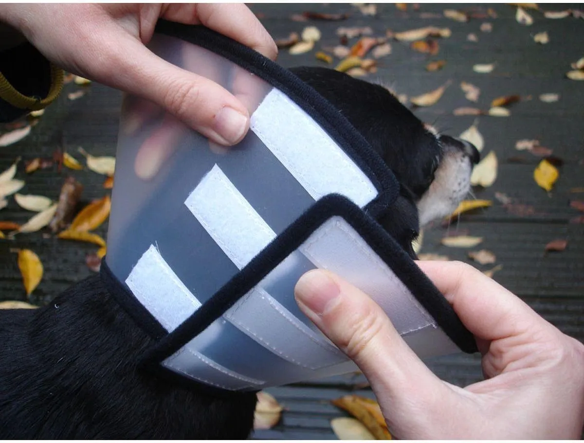 Flamingo - Honden beschermkraag Capo - Transparant - L - 31 x 15 x 0.1 cm