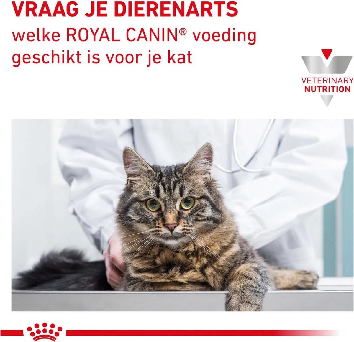 Royal Canin Gastro Intestinal Kattenvoer - 12x100g - afbeelding 6 van 6