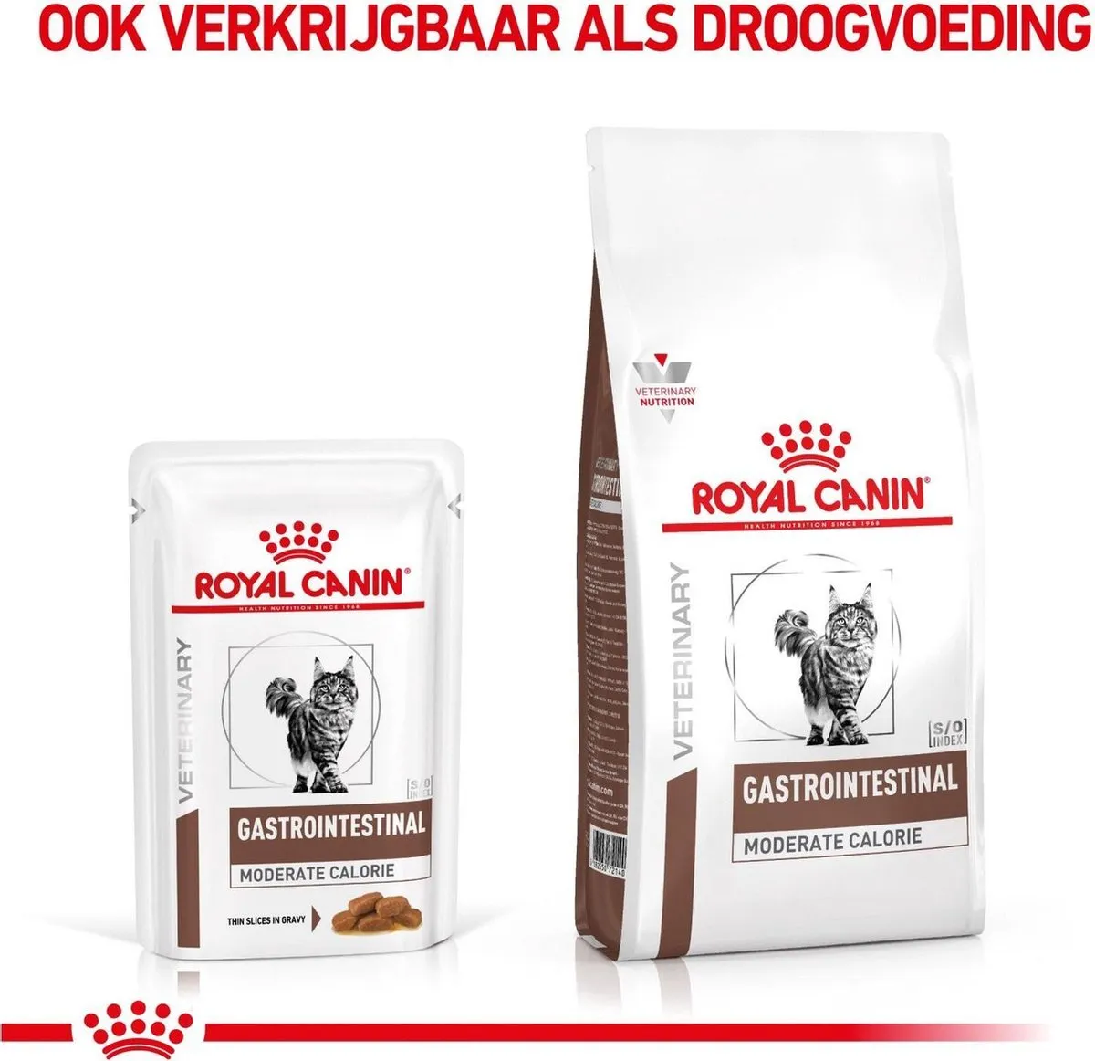 Royal Canin Gastro Intestinal Kattenvoer - 12x100g