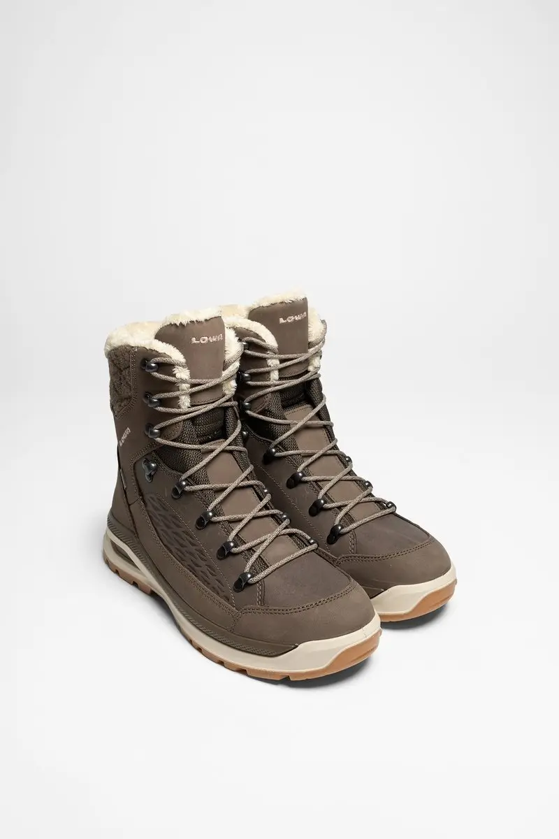 Renegade EVO ICE GTX Ws Dames (Steen/Champagne)