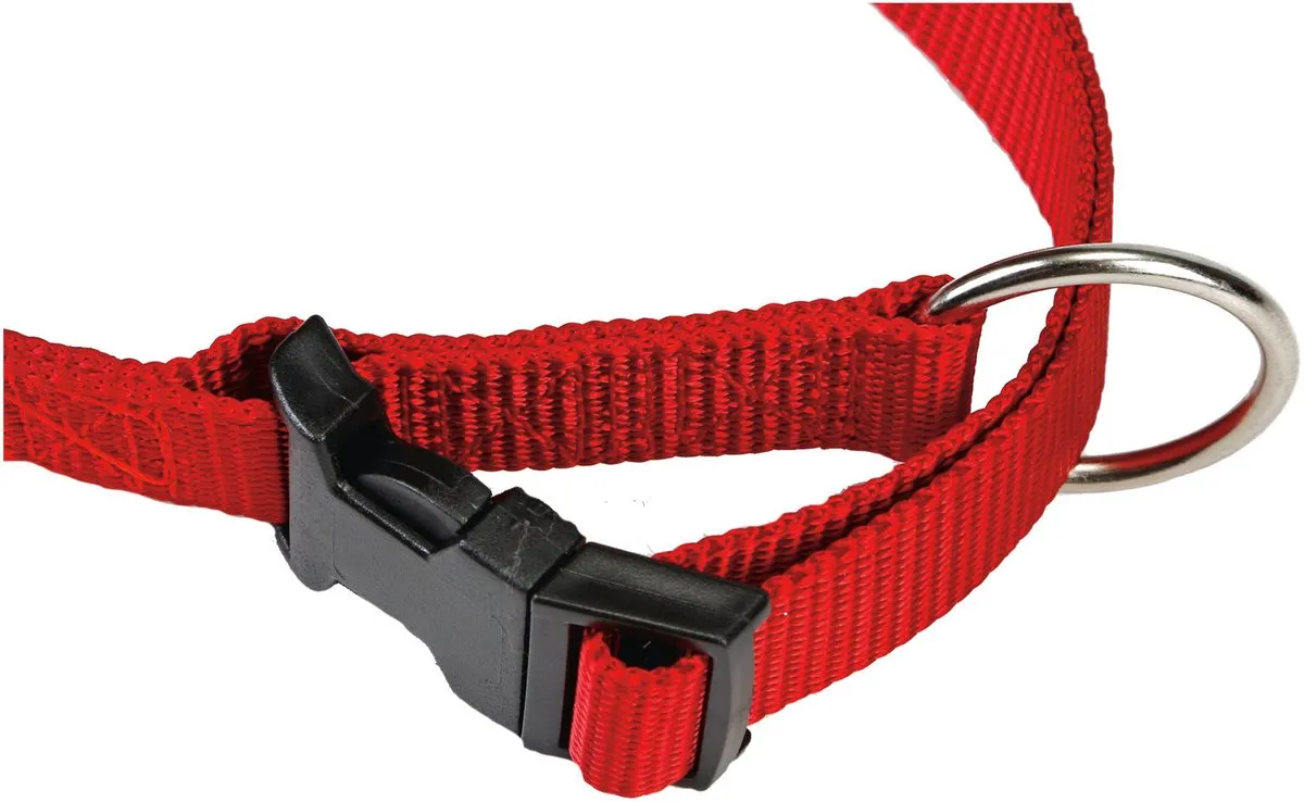 Beeztees Halsband Hond Nylon - 40-65cm x 25mm - Zwart