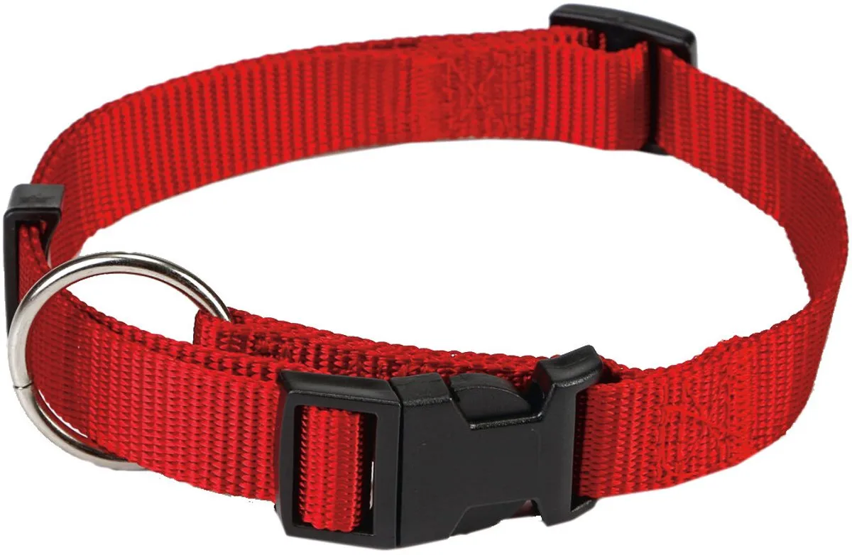 Beeztees Halsband Hond Nylon - 40-65cm x 25mm - Zwart