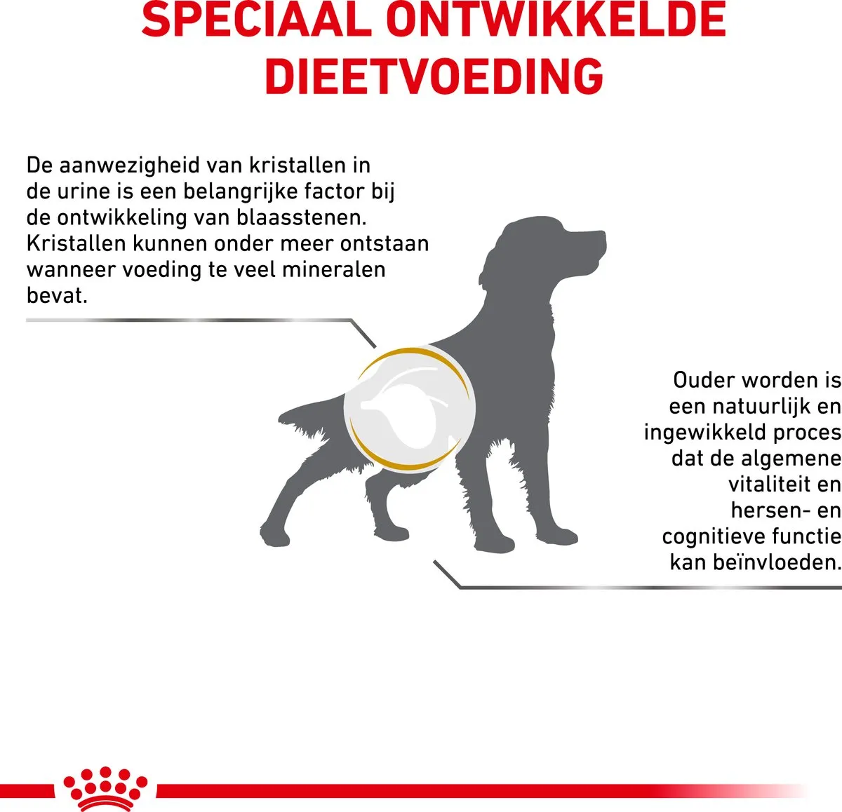 Royal Canin Veterinary Diet Urinary S/O Ageing 7+ Hondendieetvoer 3.5kg