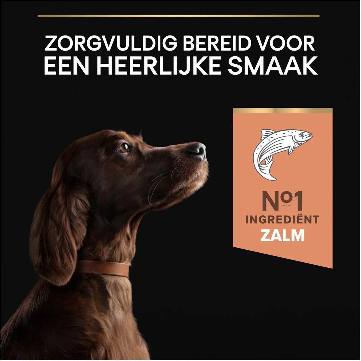Pro Plan Sensitive Skin Large Athletic Adult Hondenvoer Zalm 14kg