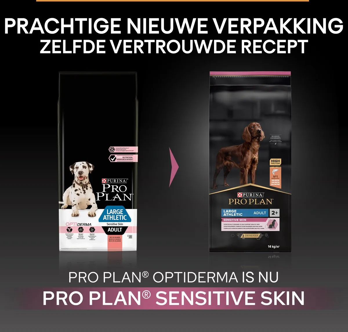 Pro Plan Sensitive Skin Large Athletic Adult Hondenvoer Zalm 14kg