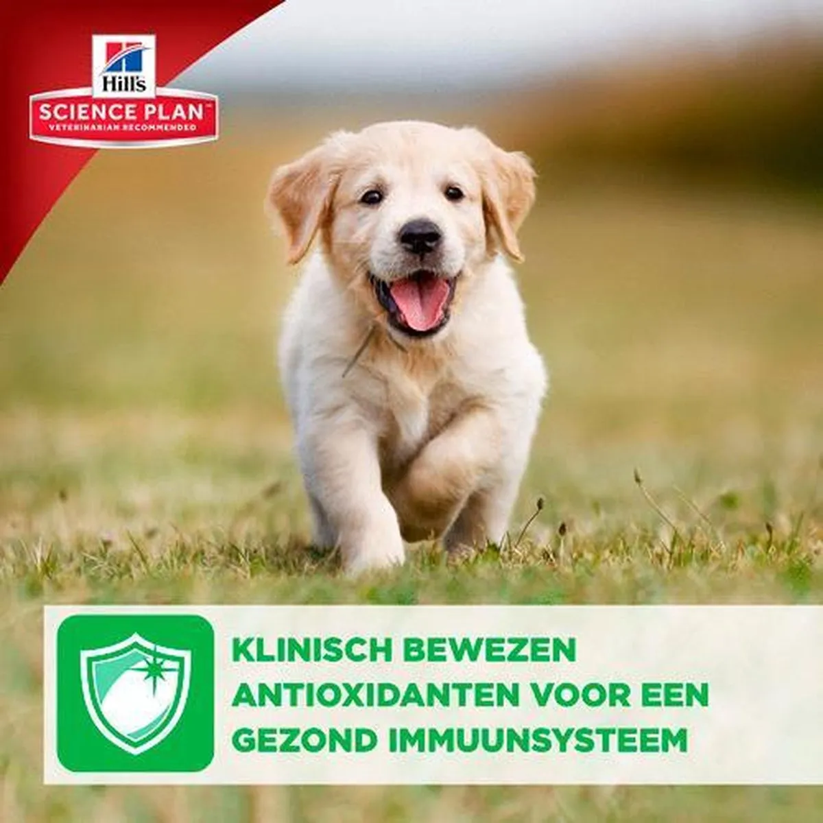 Hill's Canine Puppy Healthy Development Large Breed - 2,5 kg - afbeelding 6 van 6