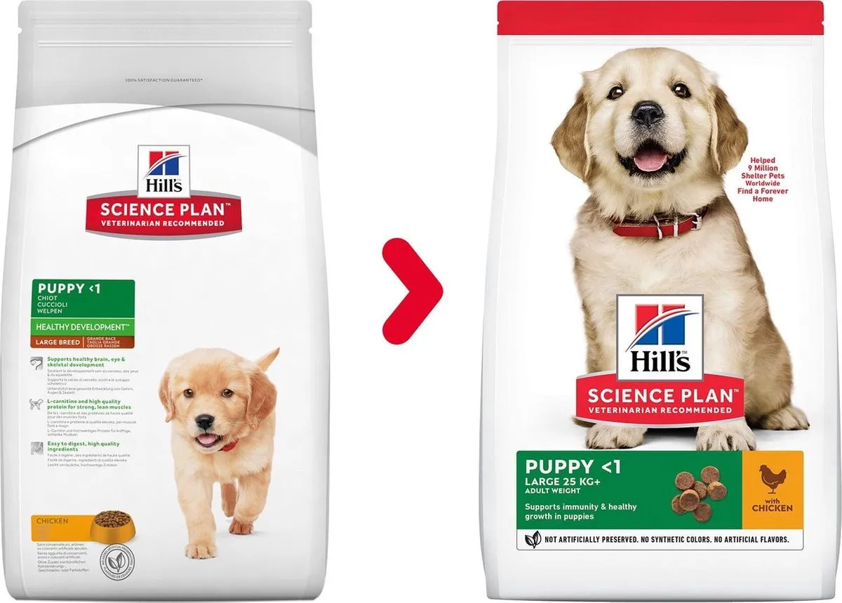 Hill's Canine Puppy Healthy Development Large Breed - 2,5 kg