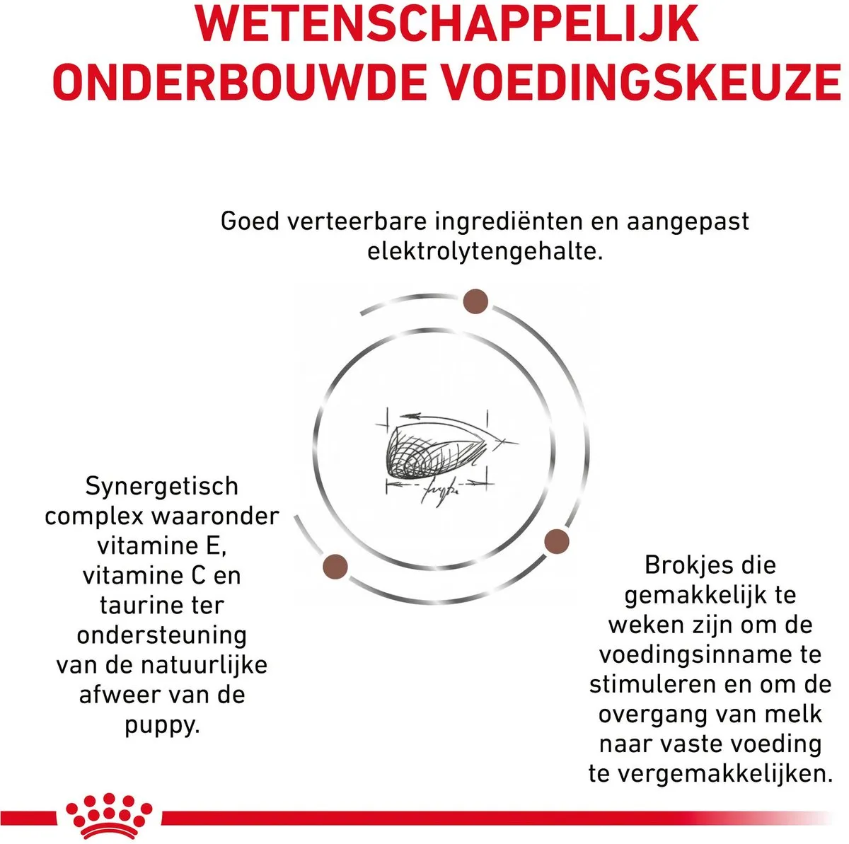 Royal Canin Veterinary Diet Gastro Intestinal Puppy Hondenvoer 10kg