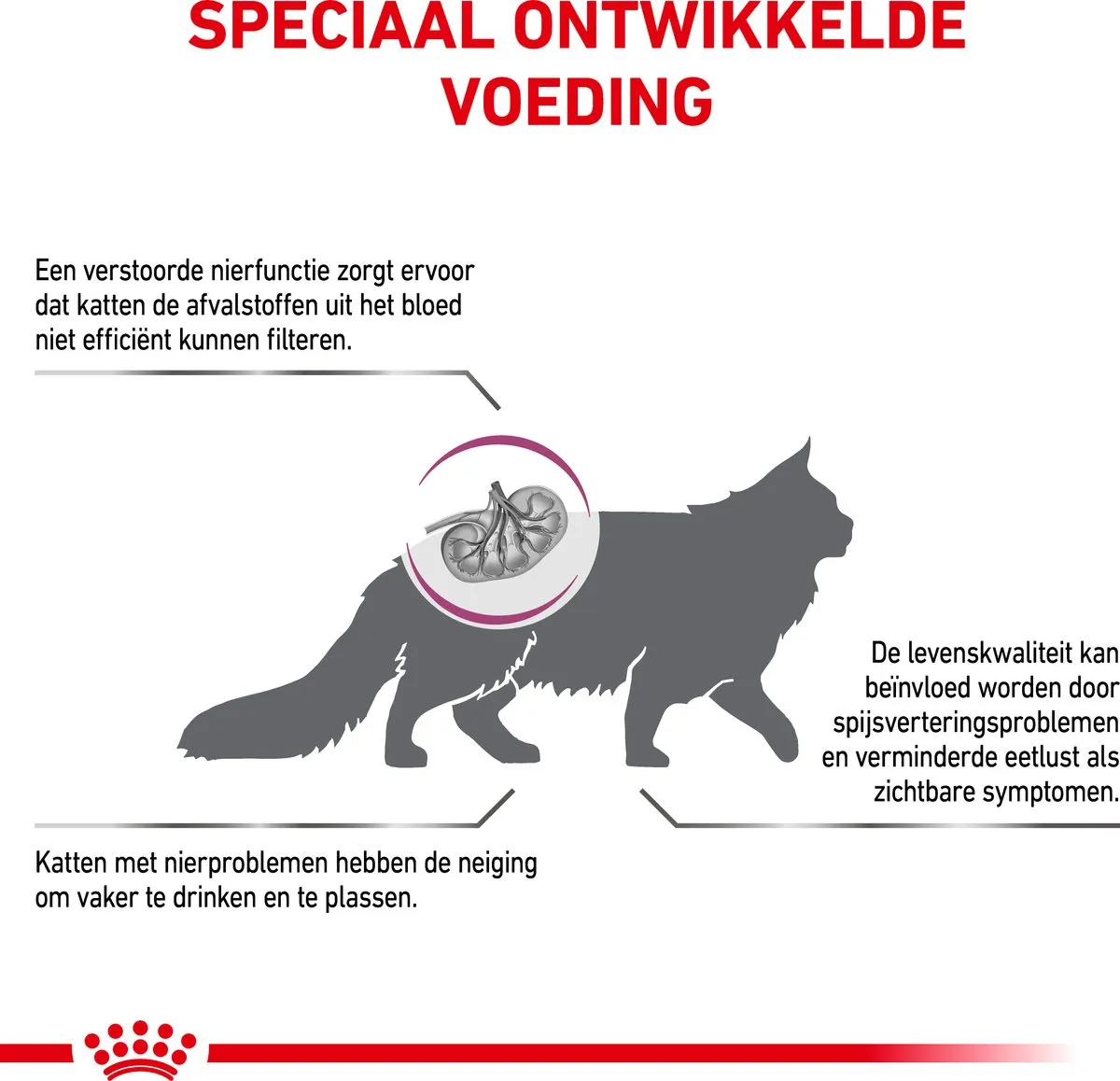 Royal Canin Veterinary Diet Kat Renal 400g